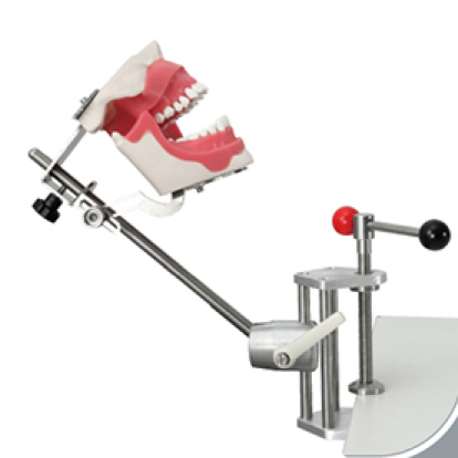 Jingle JG-M1 — Модель для удаления зубов под наркозом