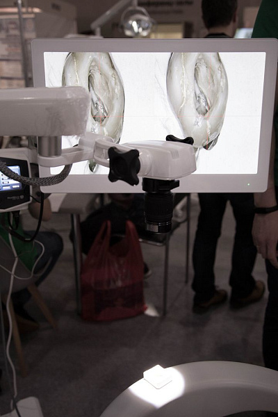 Стенд компании GREEN DENT на выставке Дентал-Ревю 2020-59.jpg