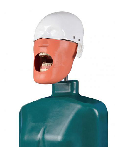 Jingle JG-C2 — Стоматологический фантом пациента мобильный