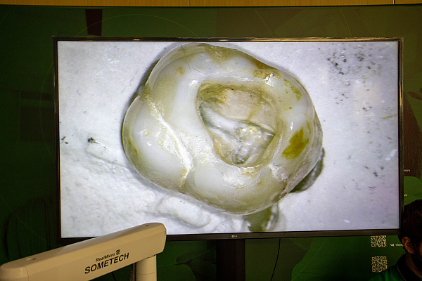 12-13 июня OHI-S 18.jpg